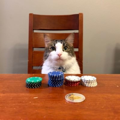 TylerKStevenson's profile picture. Go Texans