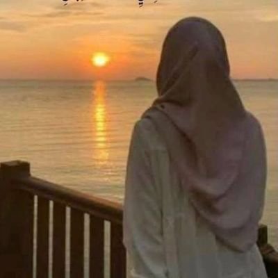 qzbkd26267399's profile picture. “💰 Exploring the world of crypto & blockchain 🚀”