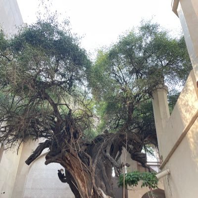 BnSakey's profile picture. Used as a Tissue.