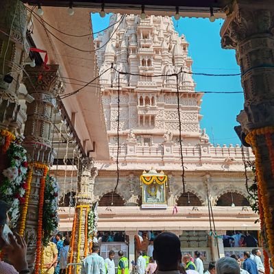 thegenericnotes's profile picture. 