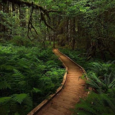 zazalele04's profile picture. 