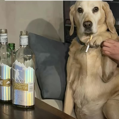 tjm2335036564's profile picture. 