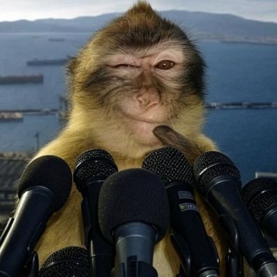 hissizzlikkkk's profile picture. öyle böyle değil amaan Allahım