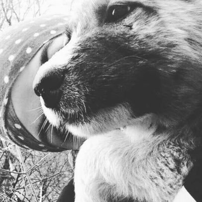 yasmin5672019's profile picture. Geospatial Engineer | Lebanese University alumna  
    🦅  لا تأمننَّ عدوًّا صغيرًا، ولا تحقّرنَّ عداوة ضعيف🦅
follow me 👉