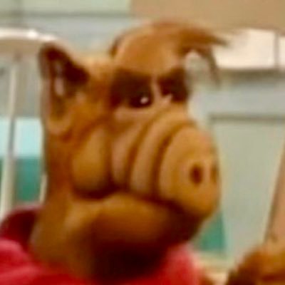 aliruzr's profile picture. 