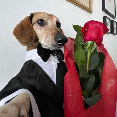 _opxrr's profile picture. ᴛʜᴇʏ ꜱʜɪɴᴇ , ɪ ꜱᴍɪʟᴇ ツ                                                      
 ꒰ #xixxx_review ꒱