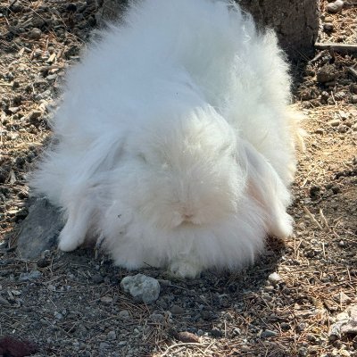 dxvaCS's profile picture. formerly: eternalfire lft adhd final boss