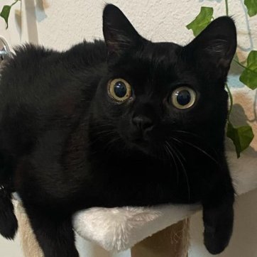 brick104_'s profile picture. 