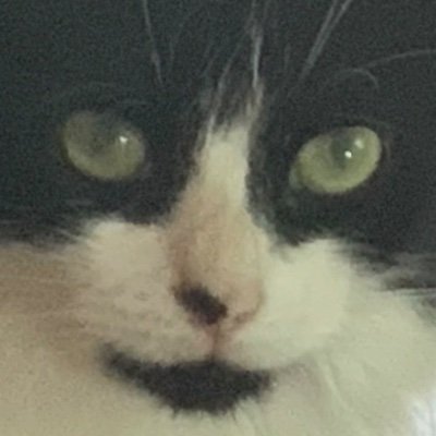 SheepSheep6639's profile picture. 