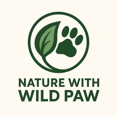 HotTakeX3's profile picture. 