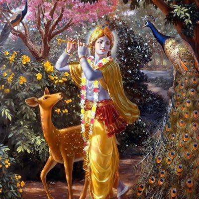 gclvlmummy56's profile picture. 