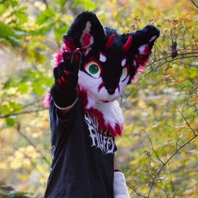 foxfreakout's profile picture. Friendly devil fox :) | Chicago | 🏳️‍🌈 | sfw |🔞 no minors |⛓️Guarded by a hound 💚🐺