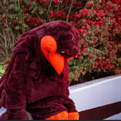 hokiestothecfp's profile picture. Hokies.