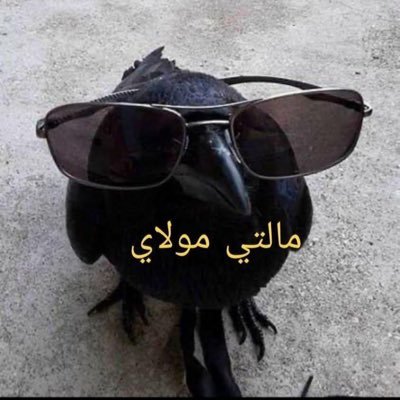 boman_mackan's profile picture. 