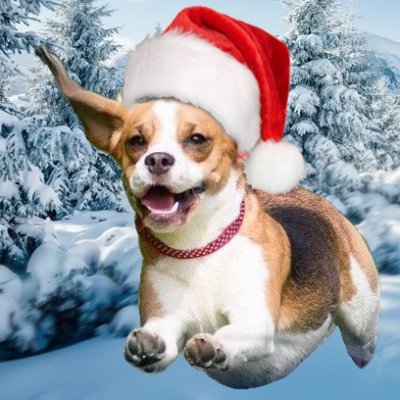 HarmlessYardDog's profile picture. 