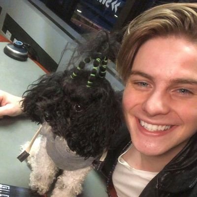 VincentGross72's profile picture. 