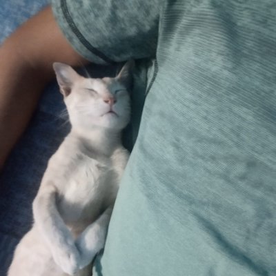 risiuuuu's profile picture. YES SIR