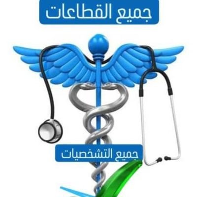 bdalrhmn15508's profile picture. 