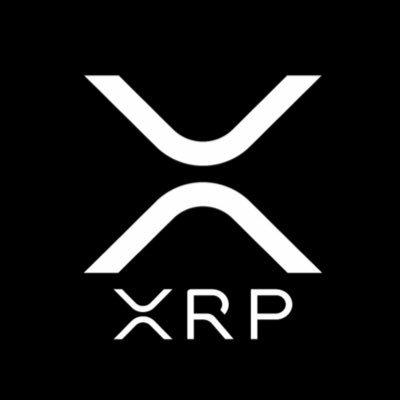 alanorq's profile picture. 