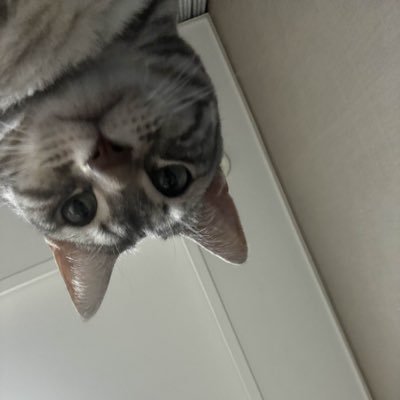 karu0924's profile picture. 카단 서버 / 블레이드 / 성인남성