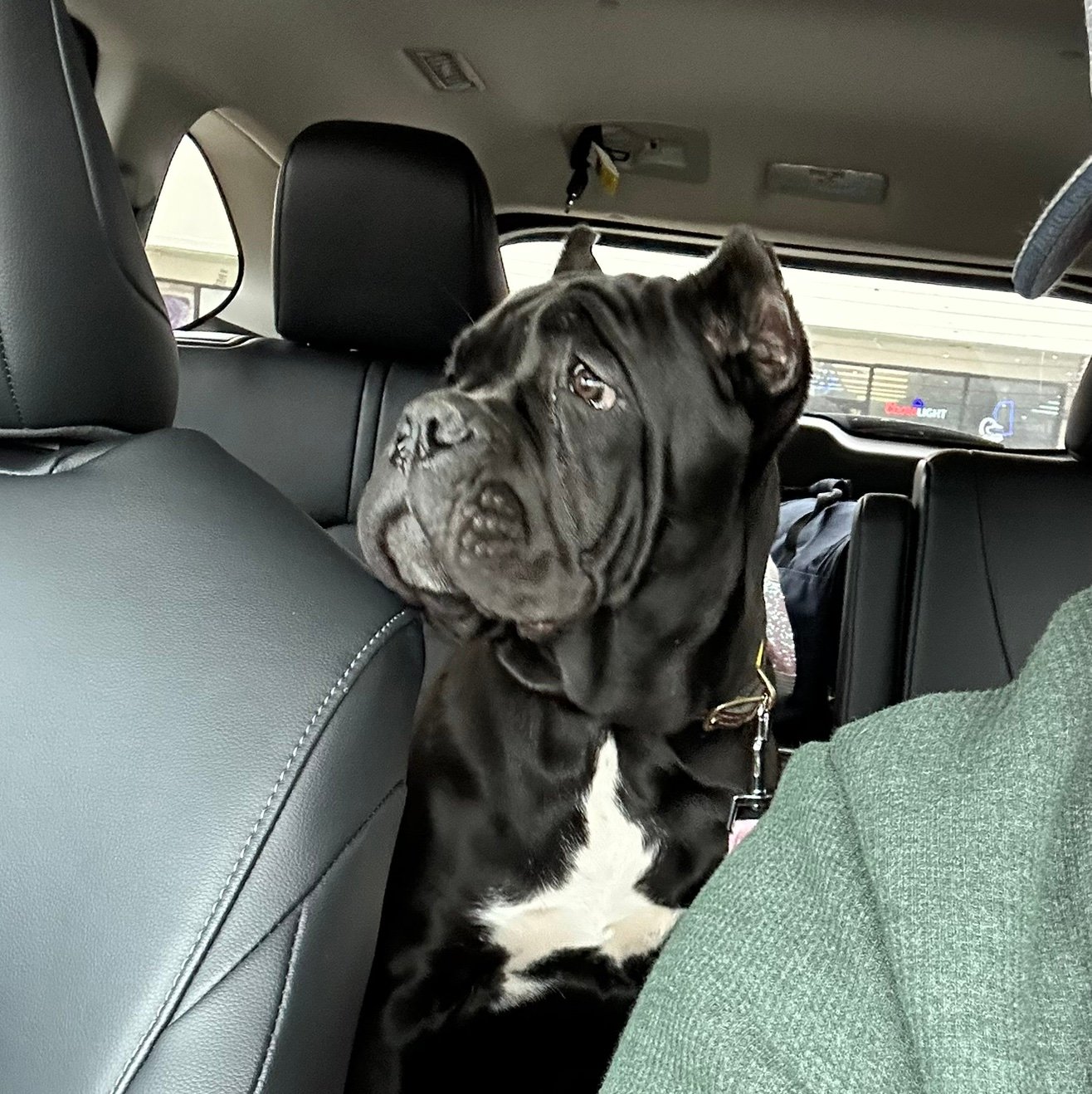 StevenMoore2025's profile picture. 