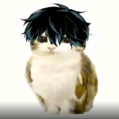 calcinhadoivan's profile picture. ⠀⠀ᅟᅟ⠀ᅟᅟ⠀⠀⠀ᅟᅟ⠀ᅟᅟ⠀ ᅟᅟ⠀ᅟᅟᅟᅟ⠀ᅟᅟ⠀⠀⠀⠀ᅟᅟ ⠀⠀⠀⠀  ⠀ᅟᅟ⠀⠀⠀ᅟᅟ⠀⠀ᅟᅟ⠀ᅟ⠀ᅟᅟ⠀⠀ᅟᅟ⠀⠀⠀⠀⠀⠀⠀⠀⠀ᅟᅟ ⠀ᅟᅟ  ⠀⠀⠀⠀⠀⠀⠀⠀⠀⠀⠀⠀⠀⠀ᅟᅟ⠀⠀ ⠀  ͏ ͏ ͏ ͏ ͏ ͏ ͏