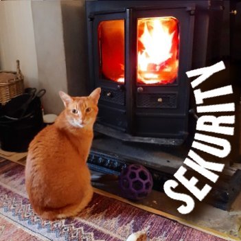 SquirtTheCat's profile picture. https://t.co/puVVvymvdY 
🌈 6 June 2025 🌈
Nemesis of anything that squeaks.
Humble #Purrs4Peace purrkateer.

My book! 😹 https://t.co/gKnJtMECE2