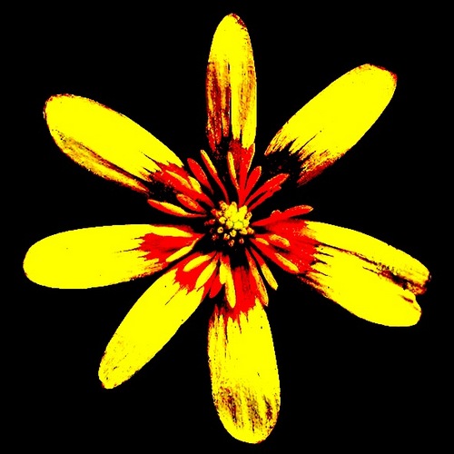 jonmsays's profile picture. I'd like to teach the world to sing, in perfect harmoneee😊