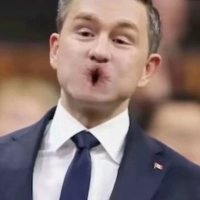 desf86473's profile picture. #MarkCarneyForPM #NeverPoilievre #IStandForCarney #ProudCanadian