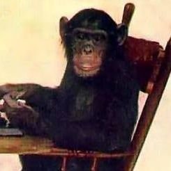 abrobor4's profile picture. Pumba la Pumba batendo na sua bunda