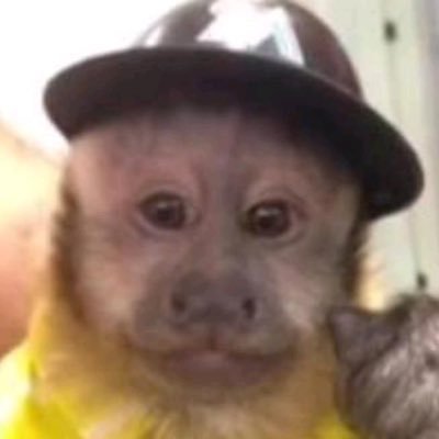 ticobernaldino's profile picture. 