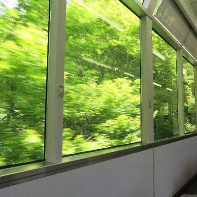 Kiki20th_'s profile picture. 体調不良 大人 account is gone let me follow plz 😭