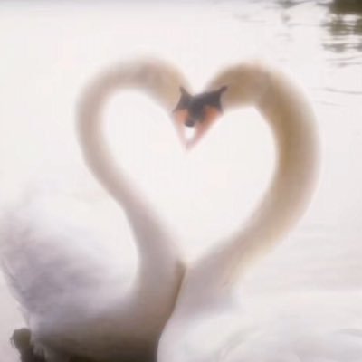 miaumjau's profile picture. nineteen @miaumjaumeow