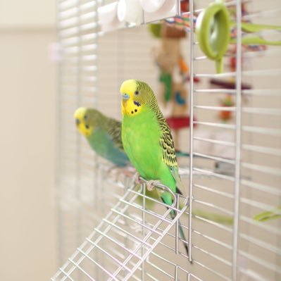 Liuzero772Mary's profile picture. 