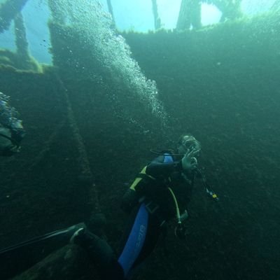 uwutdiyebiri's profile picture. 