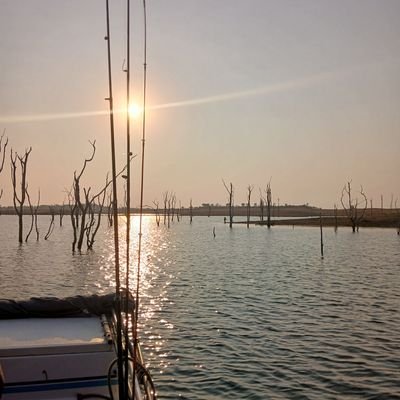 v3cna0001's profile picture. your opinion of me not my responsibility.