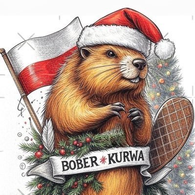 NameLikeAnother's profile picture. À quoi bon élaborer une bio alors même que mon génie transparaît de tout mon être ?