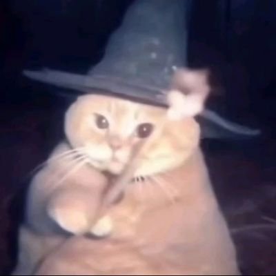 dearilusion's profile picture. i just really love vkei (V系)💀🖤 

(ela/she).
multifandom ❤️‍🔥🫰