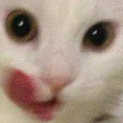 himerseed's profile picture. Crypto investor😙
Man🥸
Exploring with @DataHaven_xyz