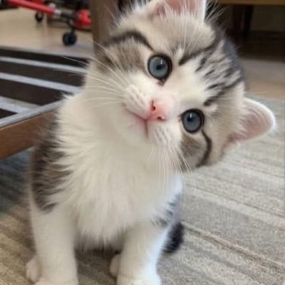 KentriaLame's profile picture. 