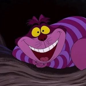 Shaiashire's profile picture. 