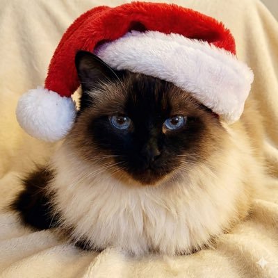 _virtualreality's profile picture. 우리는당신의행복에관심이없다 / 아 그럴수도잇겟당 /오히려좋아 /  어쩌다누추한분이 / 하이라이트내그림 / 생활소음