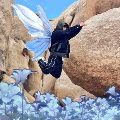 Webesss's profile picture. 