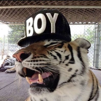 reyyguada's profile image