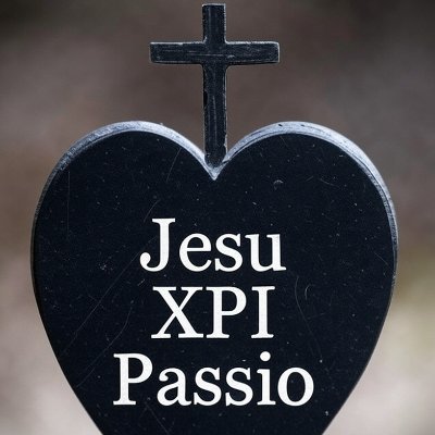 CatholicLisa's profile picture. † Passionist Oblate Associate † #Catholic † Mamaw † Disabled † Autistic-ish † Stage 4 Cancer patient † I tweet a lot † NO DMs, PLEASE.