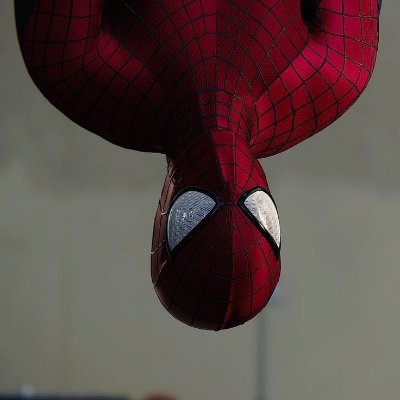 corda8234's profile picture. I build sometimes