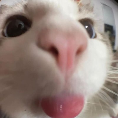 user18040303's profile picture. fuck my baka fujo life