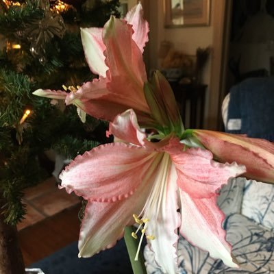 v22sk's profile picture. 