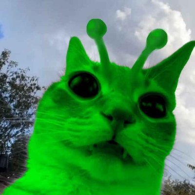 Tealed_pnda's profile picture. 22 
/  Theranos Head of R&D
 /geziegt: @duizendapple @legitjustbad @suns7ar @Schnakis @lillunez @Pocky_Cream_  @zenjuboo @randomqiqimain /