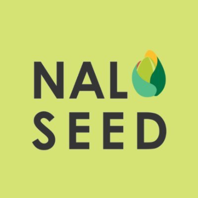 NaloSeed's profile picture. AI-Driven Digital Strategy for Businesses and Startups Ready to Scale